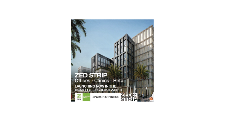 ZED STRIP logo