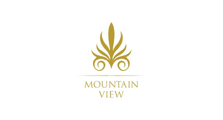 Mountain View iCity logo